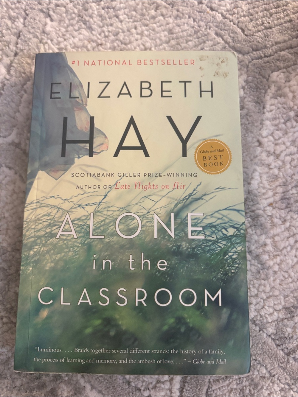 Alone in the Classroom – Book